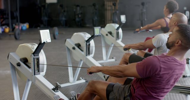 Rowing Machine Workout Group in Gym - Download Free Stock Images Pikwizard.com