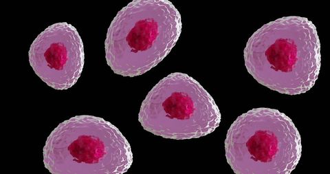 Microscopic View of Red and Pink Cells on Black Background - Download Free Stock Images Pikwizard.com