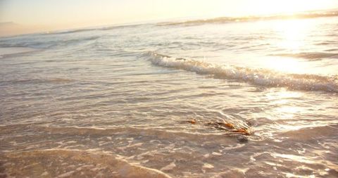 Tranquil Evening on Sandy Beach with Waves at Sunset - Download Free Stock Images Pikwizard.com