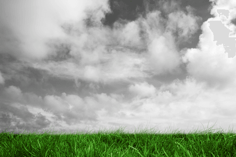 Green Grass with Dramatic Clouds on Transparent Background - Download Free Stock Videos Pikwizard.com