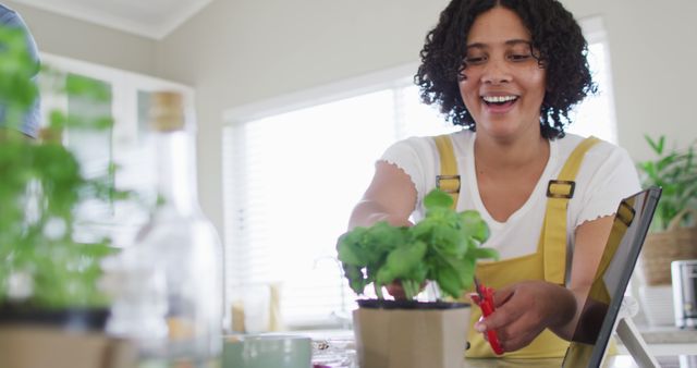 Smiling biracial woman cutting leaves from basil plant in kitchen, in slow motion. Cooking, ingredients and lifestyle concept.