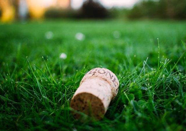 Champagne Cork Lying on Grass in Natural Setting - Download Free Stock Images Pikwizard.com