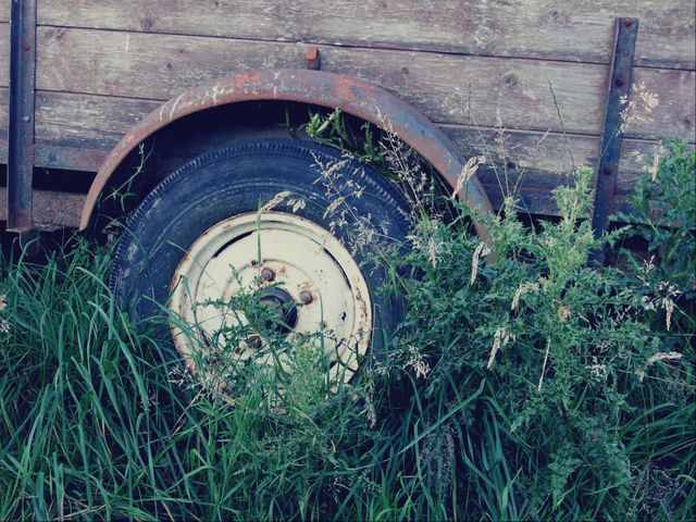 Old weathered trailer wheel partially covered in overgrown grass creates a rustic and vintage feel. Scene depicts countryside decay, perfect for illustrating themes of abandonment, aging, and nature reclaiming man-made objects. Suitable for use in blogs, articles, or creative projects focused on rural life, forgotten places, or environmental themes.