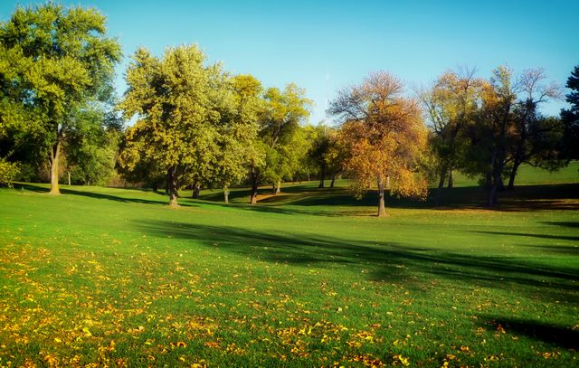 Wide expanse of a park featuring vibrant autumn colors and lush green grass. Ideal for outdoor and nature-themed designs. This can be used to promote outdoor activities, city parks, travel, or seasonal changes in various media like websites, brochures, and social media posts.