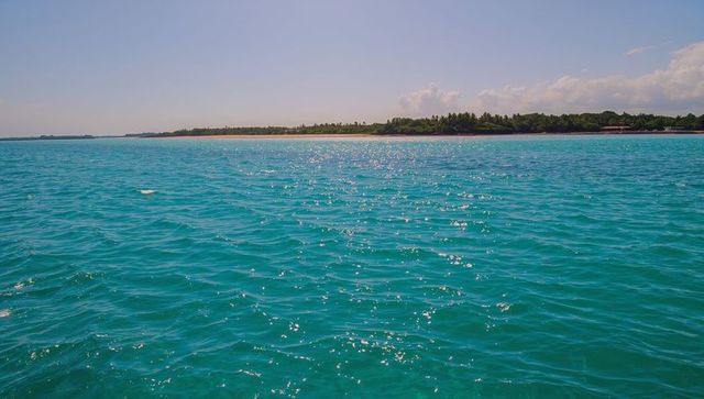 Turquoise ocean stretching to sandy coastline with sparkling ripples and tree-lined horizon