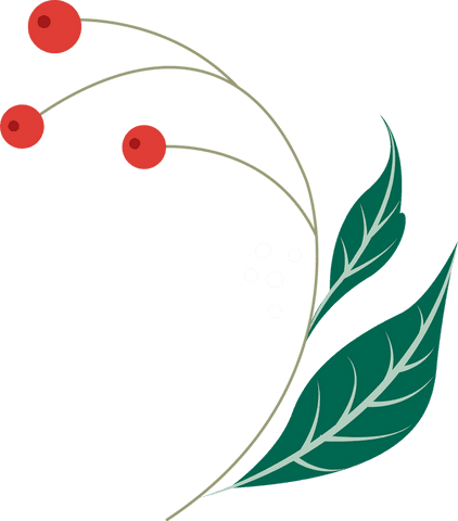 botanical illustration with red berries on transparent background - Download Free Stock Videos Pikwizard.com