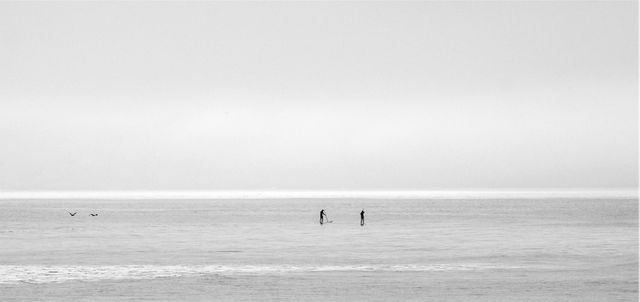 Two people paddleboarding on calm sea with minimalist aesthetic in black and white. Great for promoting waterfront activities, travel destinations, or mental calmness. Perfect for use in travel brochures, adventure activity promotions, or inspirational content.