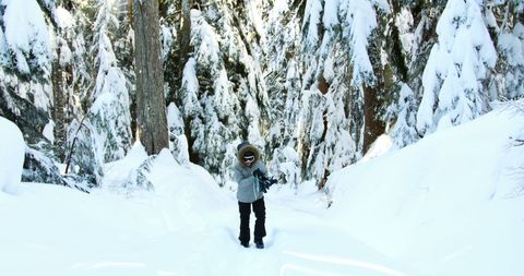 Child Exploring Snowy Forest in Winter Adventure - Download Free Stock Images Pikwizard.com