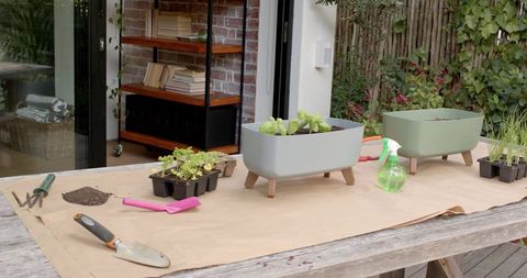 Outdoor gardening modern seedlings in eco-friendly raised planters