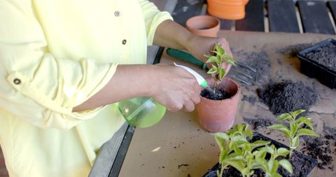 Senior Woman Caring for Potted Plants at Home Garden - Download Free Stock Images Pikwizard.com