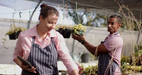 Dedicated Gardeners Collaborating in Lush Greenhouse