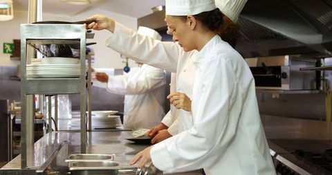 Professional Chefs Working in Restaurant Kitchen