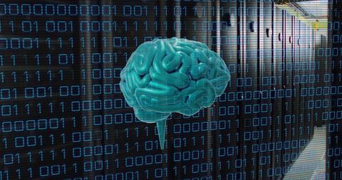 Artificial Intelligence Concept with Digital Brain and Binary Code - Download Free Stock Images Pikwizard.com