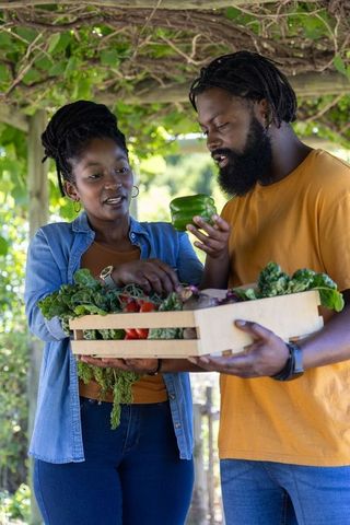 African american couple harvesting fresh vegetables in pergola organic garden living