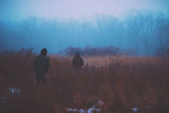 Two individuals walk in a misty, cold field at dusk. Perfect for themes related to nature, exploration, winter, serenity, or atmospheric conditions. Ideal for use in articles, websites, or advertisements highlighting outdoor activities, tranquil settings, or seasonal moods.