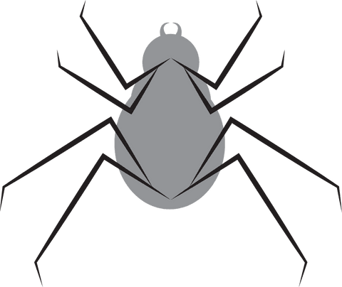 digital gray spider illustration on transparent background - Download Free Stock Videos Pikwizard.com
