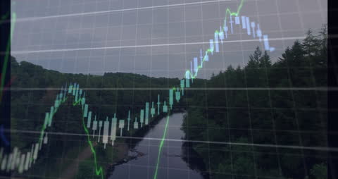 Financial Chart Animation Overlaying Scenic Forest Landscape
