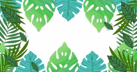 Vibrant Tropical Foliage Border with Monstera and Palm Leaves