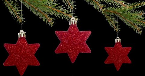 Red Star Ornaments Hanging from Evergreen Tree Branches Against Black - Download Free Stock Images Pikwizard.com