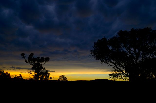 This dramatic sunset image features silhouetted trees against a colorful horizon with a dark, cloudy sky. It is perfect for use in nature and landscape projects, backgrounds for presentations or websites, and any design emphasizing mood and natural beauty.