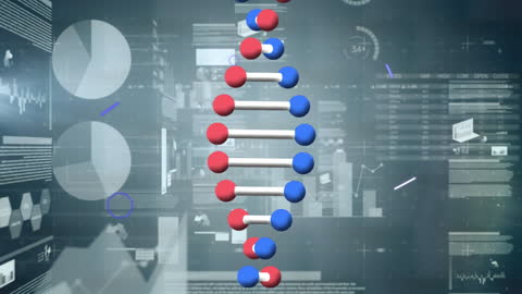 Digital DNA Molecule with Statistical Data Background