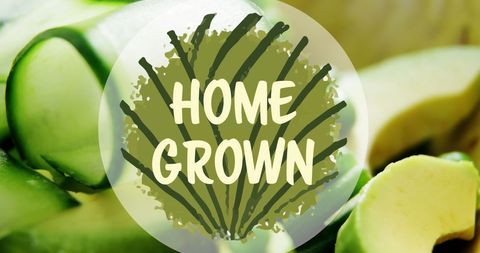 Home Grown Organic Vegetables Background with Green Typography