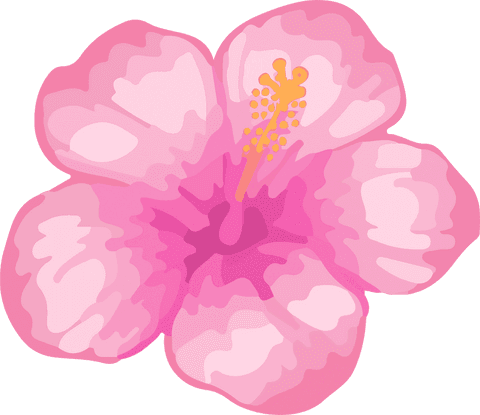 Vibrant Pink Hibiscus Floral Design on Transparent Background