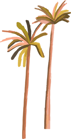 minimalist abstract palm trees rising on transparent background - Download Free Stock Videos Pikwizard.com