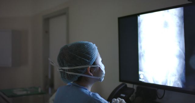 Healthcare Worker Analyzing X-Ray Image in Hospital - Download Free Stock Images Pikwizard.com