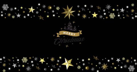 Elegant Christmas Greeting Card Gold and Silver Stars