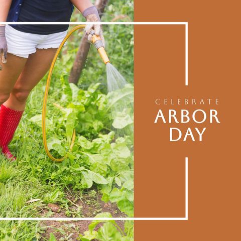Woman Watering Garden for Arbor Day Celebration