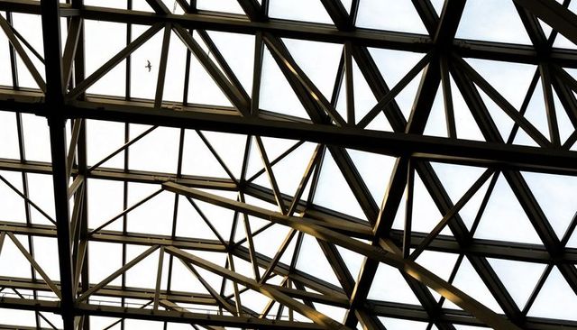 Steel truss skylight grid with bird silhouette in transportation terminal