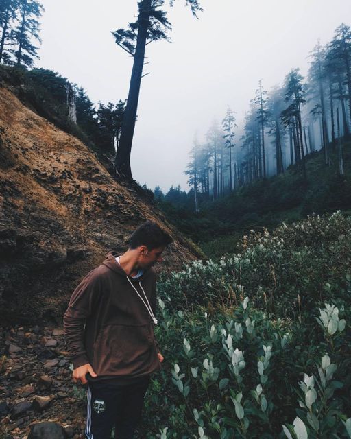 Young man in casual clothing exploring foggy forested mountainside. He is surrounded by tall trees that are partially obscured by mist, creating a serene and adventurous atmosphere. This image can be used for travel, nature, and lifestyle blogs, promoting adventure tourism, outdoor recreation, and introspective journeys.
