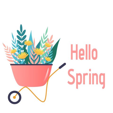 vibrant spring flowers in wheelbarrow with hello spring text - Download Free Stock Templates Pikwizard.com
