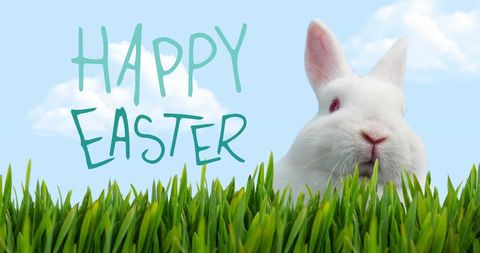 Cheerful Easter Bunny with Fresh Spring Grass - Download Free Stock Images Pikwizard.com