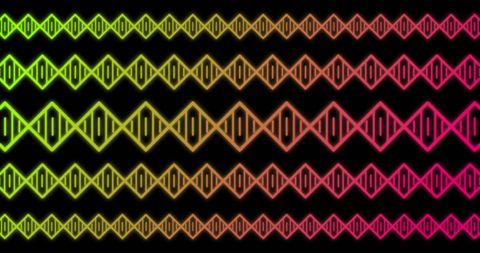 Colorful neon dna strand pattern on black background