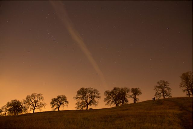 Peaceful scene of silhouetted trees spread across gently rolling hills under a starry sky. Ideal for projects related to tranquility, nature, stargazing, or evening landscapes. Suitable for backgrounds, posters, or meditation themes.