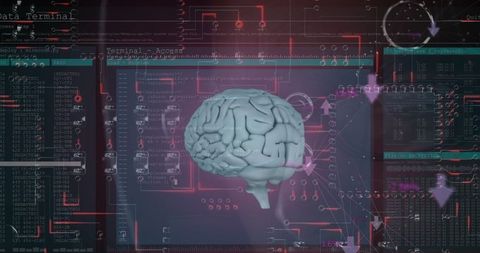 Human Brain in Digital Interface Illustrating Data Processing - Download Free Stock Images Pikwizard.com