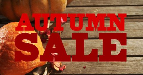 Autumn Sale Promotion with Pumpkins on Rustic Wood - Download Free Stock Images Pikwizard.com