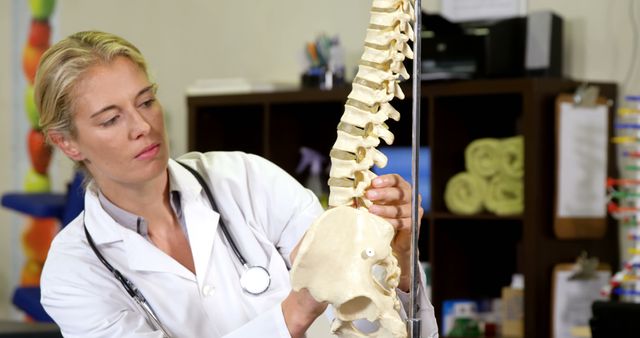 Female doctor studying a human spine model in a medical office. Ideal image for illustrating the roles of healthcare professionals, medical education, and specialized fields such as orthopedics, chiropractic, and physical therapy.