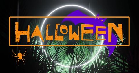Halloween banner with bat silhouette and spider decoration