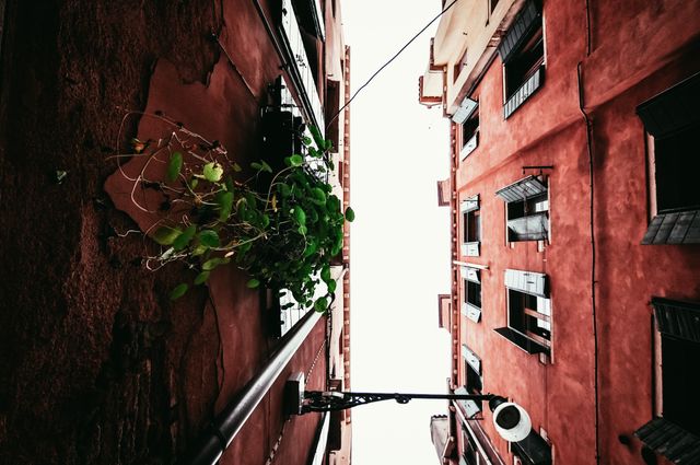 Narrow urban alleyway between two colorful buildings with plant growing on wall. Ideal for urban exploration themes, travel blogs, architectural reviews, and cityscape illustrations. Great for promoting European travel destinations and residential district imagery.