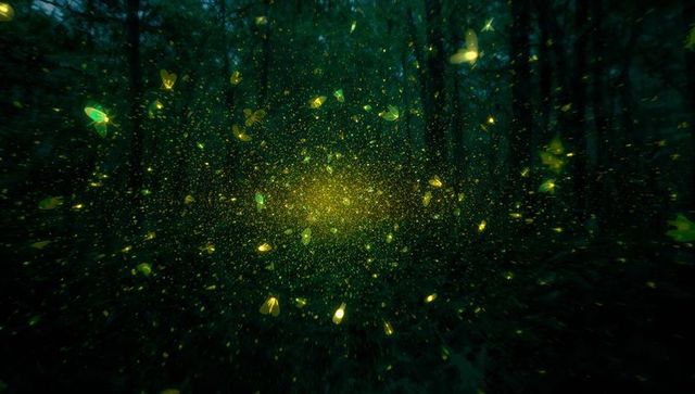 Enchanting Luminous Swarm in Mystical Nocturnal Forest