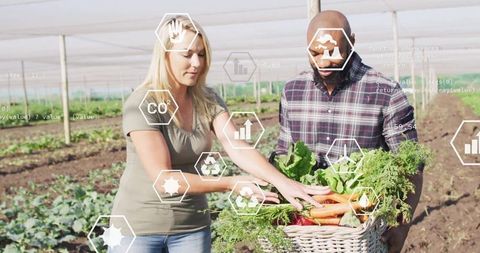 Farmers monitoring crops using smart technology