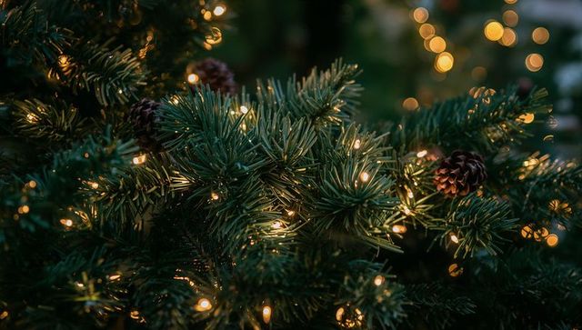 Glowing pine branches with warm fairy lights and pine cones at dusk