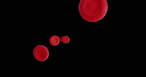 Red Blood Cells Suspended Against Black Background - Download Free Stock Images Pikwizard.com
