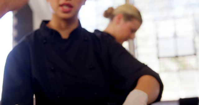 Focused Chefs Preparing Food in Professional Kitchen - Download Free Stock Images Pikwizard.com