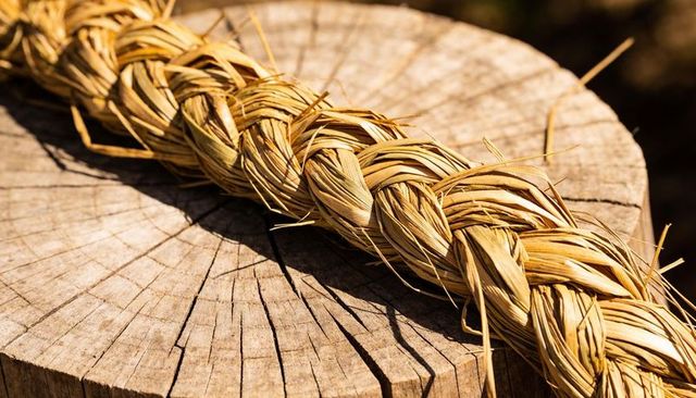 Sunlit braided straw rope casting sharp shadow on tree stump with rustic woodgrain texture