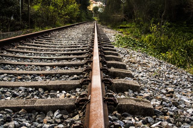 A close-up view of a rustic railway track cutting through a green forest. Ideal for use in travel blogs, nature-themed projects, or transportation-related content, emphasizing journey, travel, and nature.