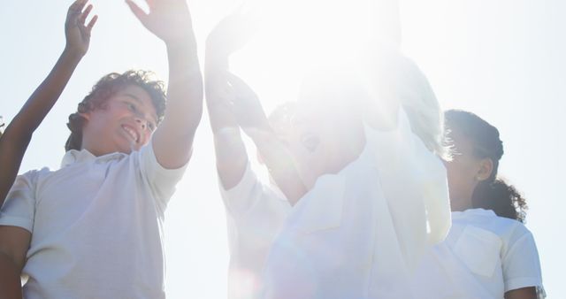 Joyful Group of Friends Celebrating Under Sunlight - Download Free Stock Images Pikwizard.com